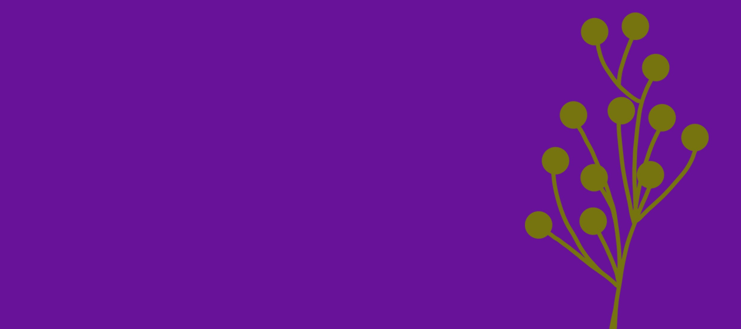 What Our Customers Say About SV23