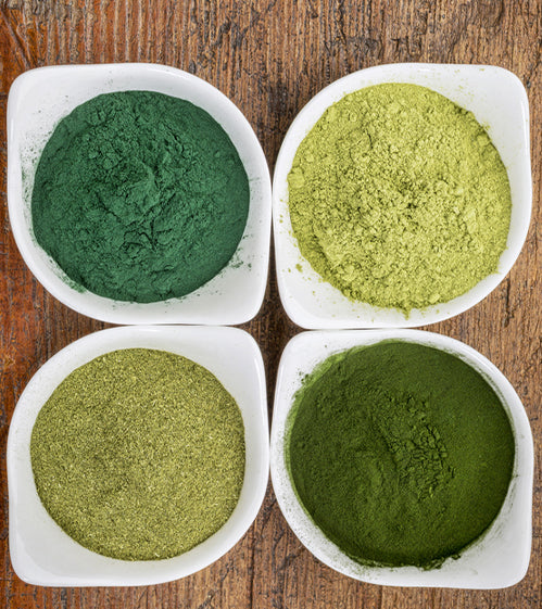 Seaweed and Algae Powders
