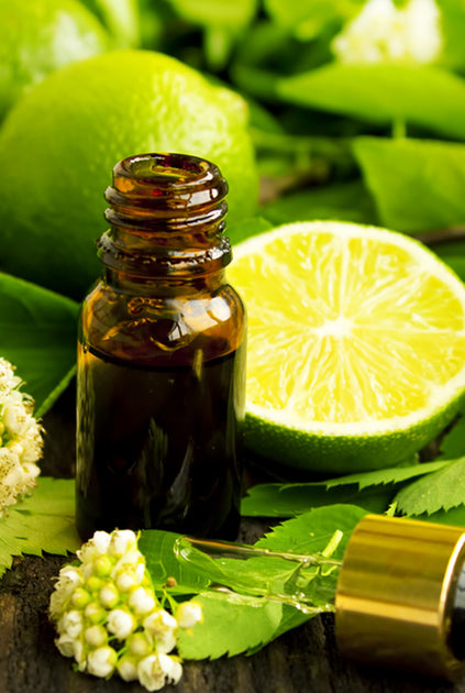 Bulk Zesty Citrus Essential Oils Blend