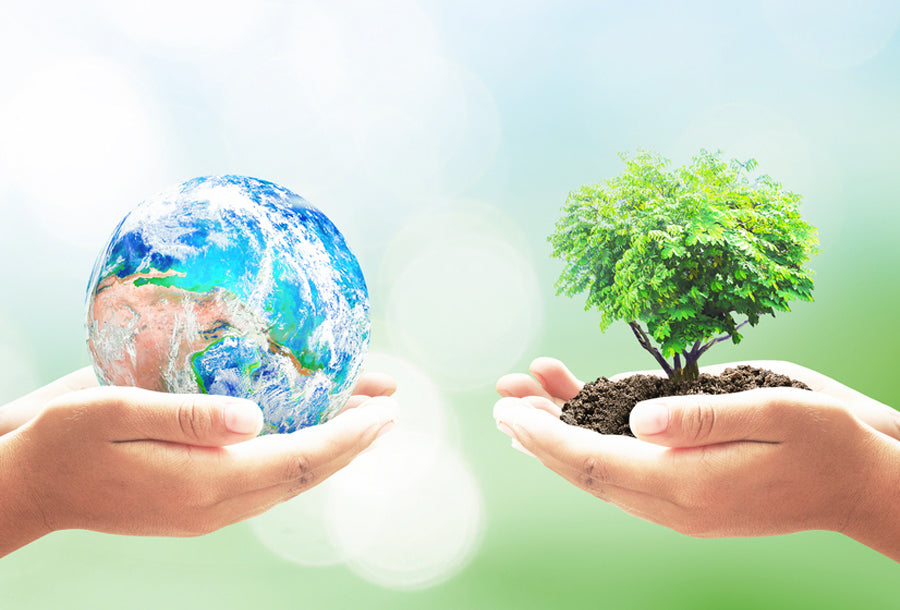 Hands Holding the earth and hands holding a sapling