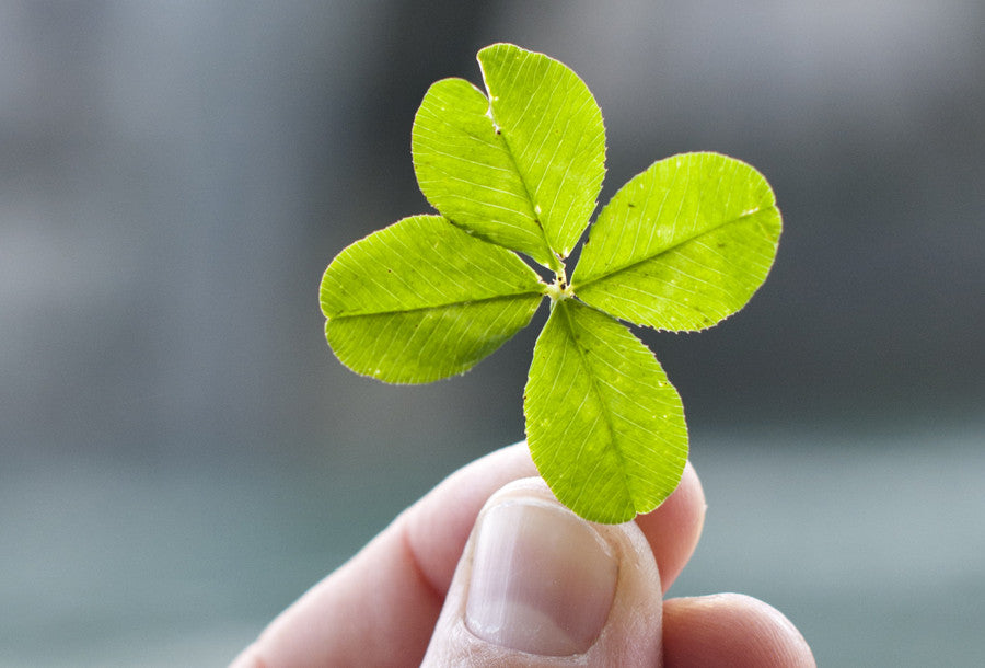 We’re Seeing Green for St. Paddy's Day