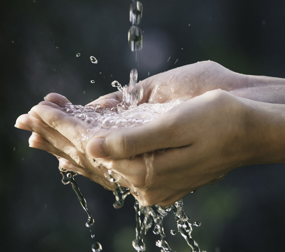 NEW - Introducing Cleaner Hands Spray and Multi-Surface Cleanser