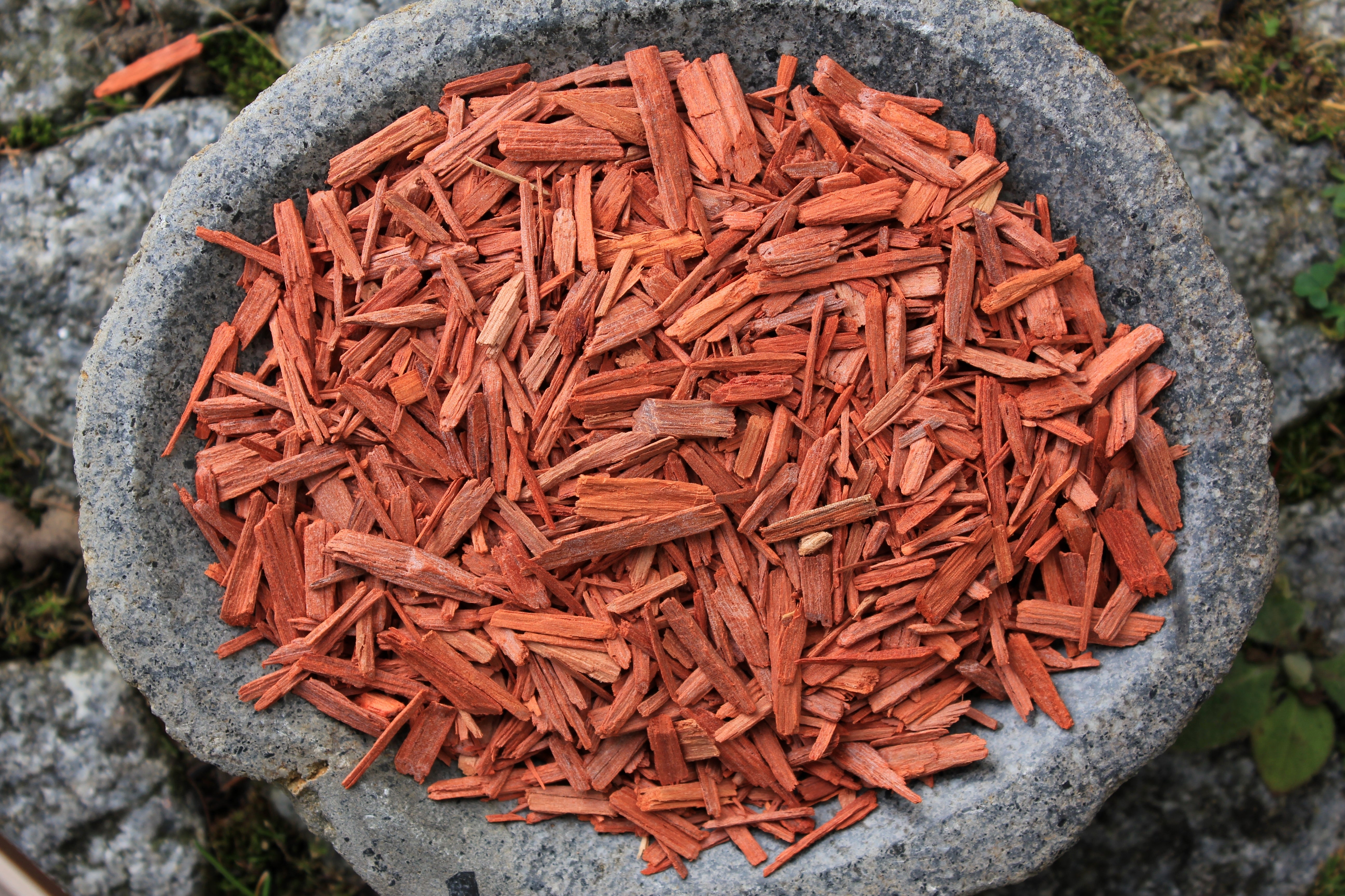 Essential Oil Spotlight: Sandalwood