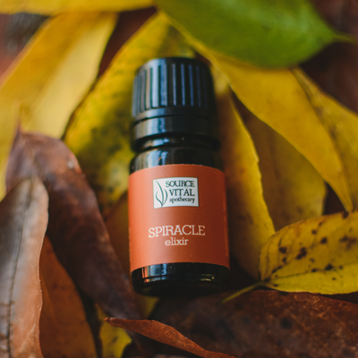 Source Vitál Employees Reveal Favorite Fall Products