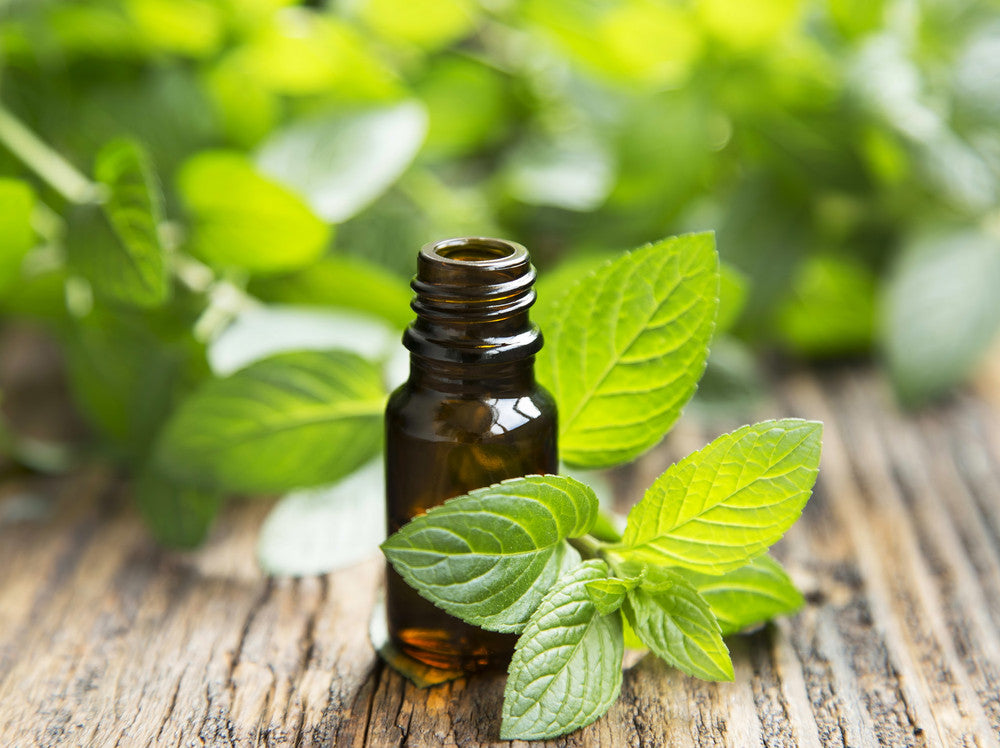 Quick Aromatherapy for the Holidays…