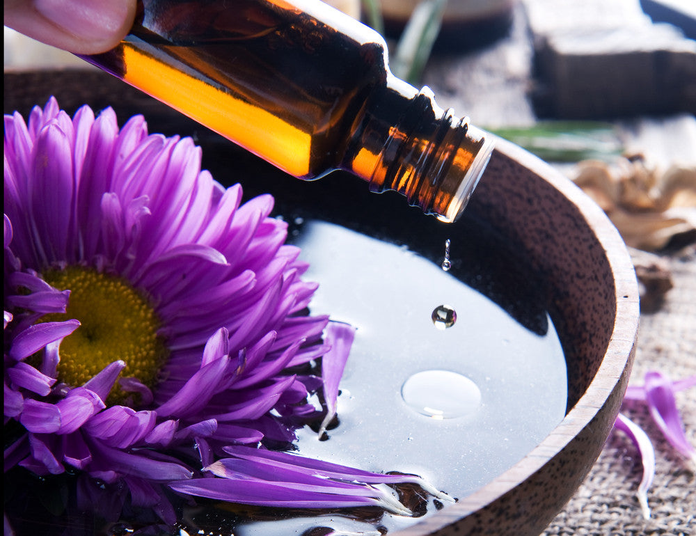 Five Essential Potions and Brews for Halloweek