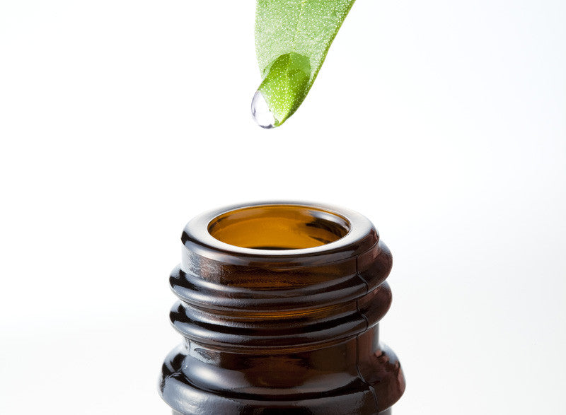 Say Yes to Natural Botanical Oils for Face, Body & Hair