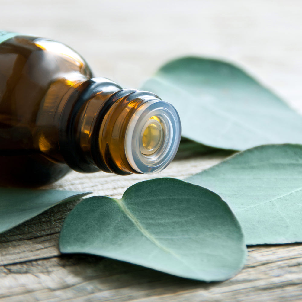 amber essential oil bottle on top of eucalyptus leaves