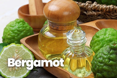 Unlock the Power of Bergamot Essential Oil for Your Mind and Body
