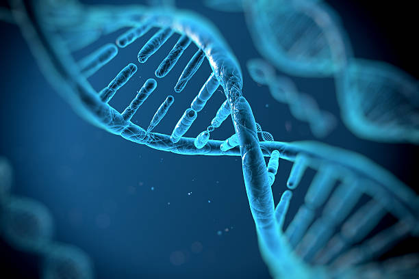 Your Skin Type Might Be In Your Genes (But That Doesn't Mean You're Stuck With It)