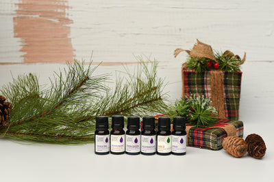 Holiday Happiness Starts Early: Explore Source Vital Apothecary's Gift Guide
