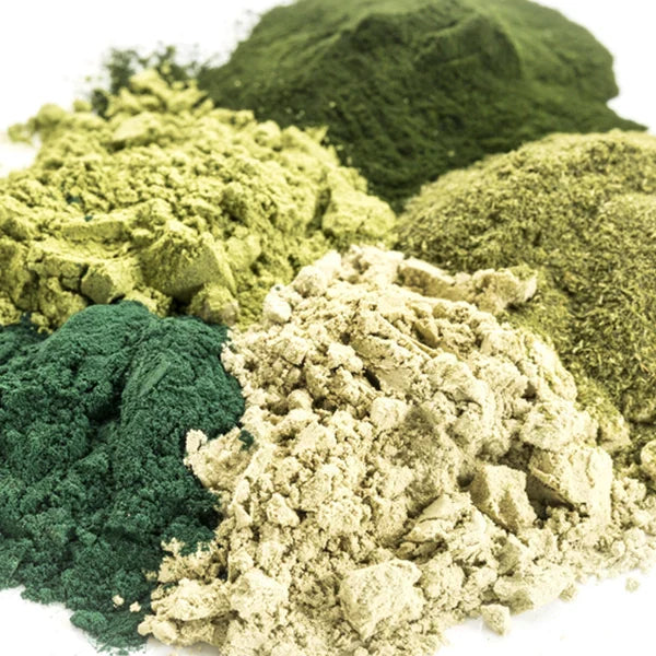 Spirulina and Algae Extracts are good for Oily Skin