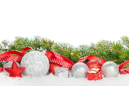 Cheers to 12 Days of Holiday Savings - Get Up to $25 Off
