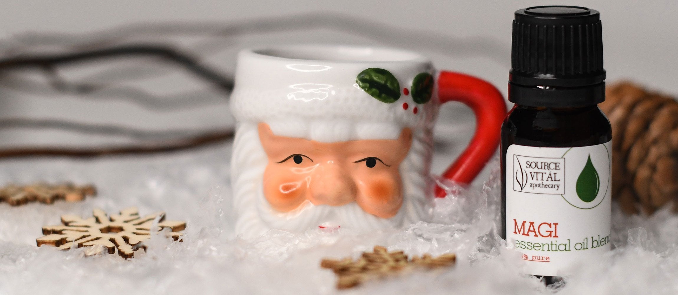 Holiday & Christmas Gift Ideas, Kits, and Products - Skin Care, Bath & Body, Spa, and Wellness