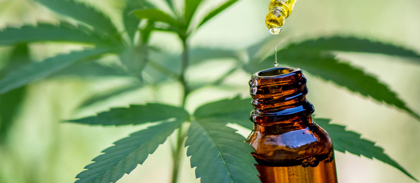 Looking for CBD Products in Houston?