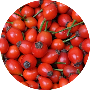 Rosehip Seed Oil Shot for Facial Serum Cocktail 4 oz