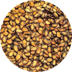 Watermelon Seed Oil Shot for Facial Serum Cocktail 4 oz