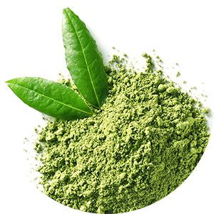 Matcha Shot for Body Cocktail