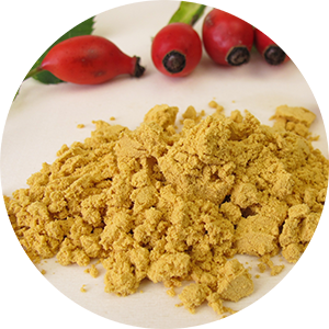 Rosehip Seed Powder for Make Your Own Mask