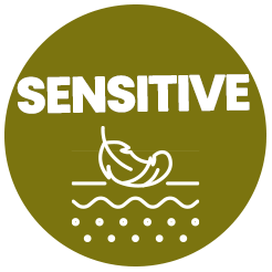 Sensitive Skin icon