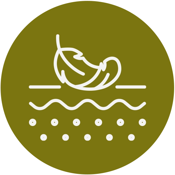 Products for Sensitive Skin
