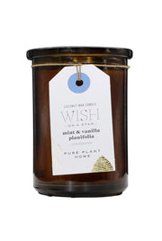 Pure Plant Home Candle - Wish on a Star - Mint and Vanilla