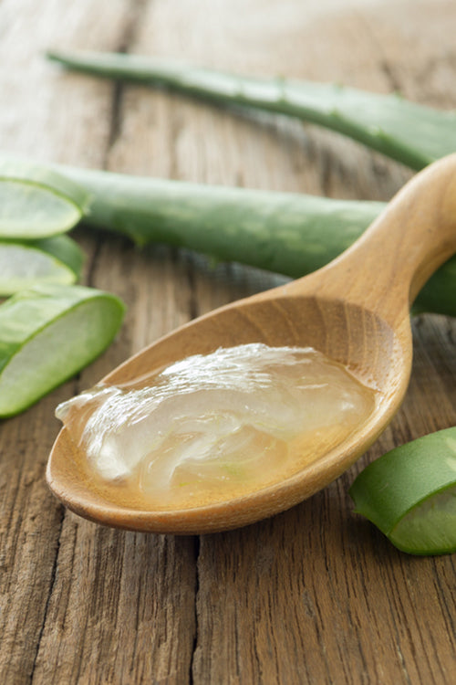 Learn More About Clean and Natural Ingredients