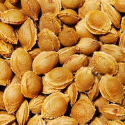 Apricot Kernel Oil