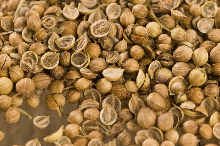 Coriander Essential Oil