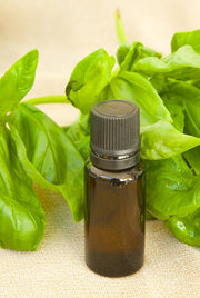 Basil Sweet Essential Oil