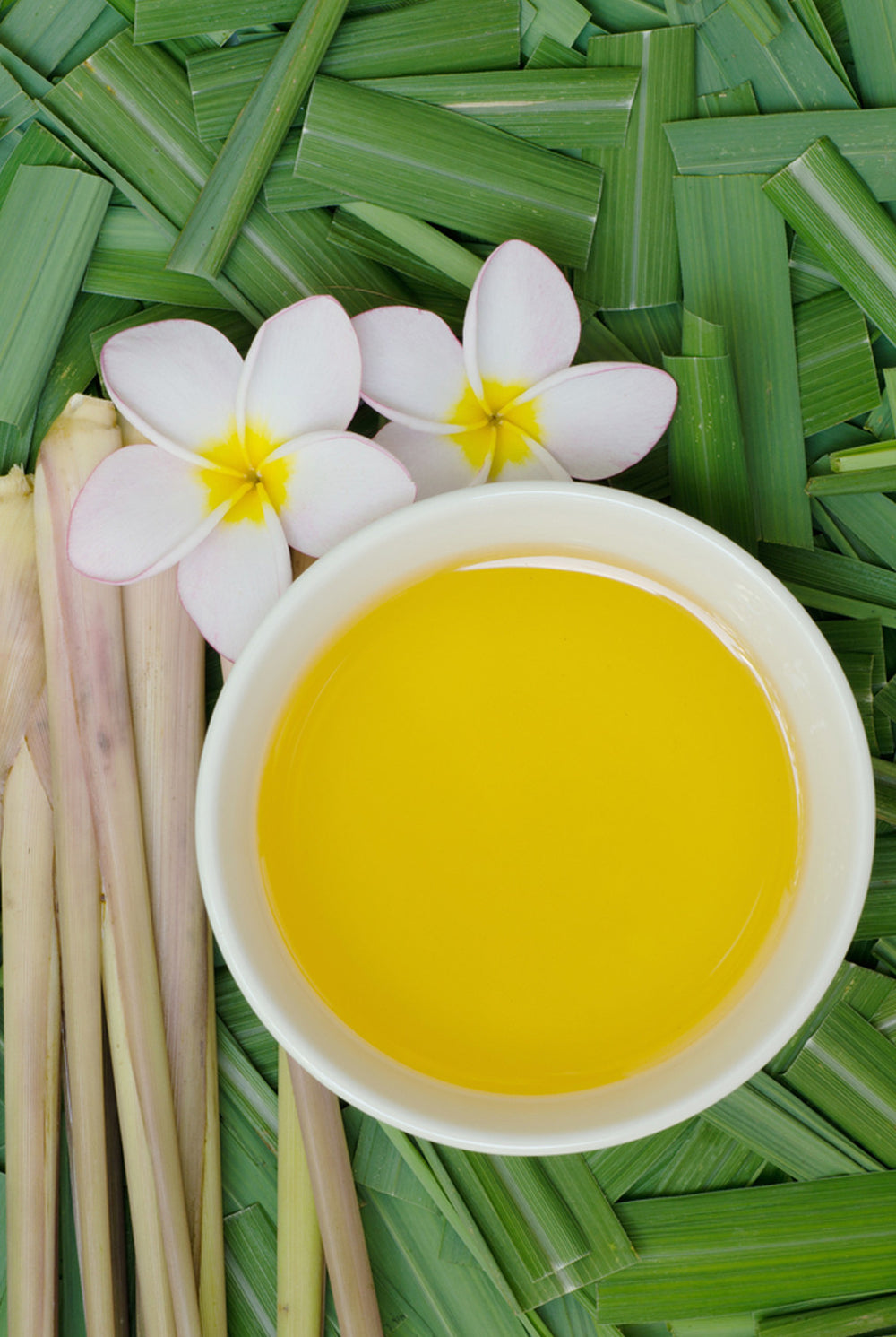 Citronella Essential Oil from Source Vital