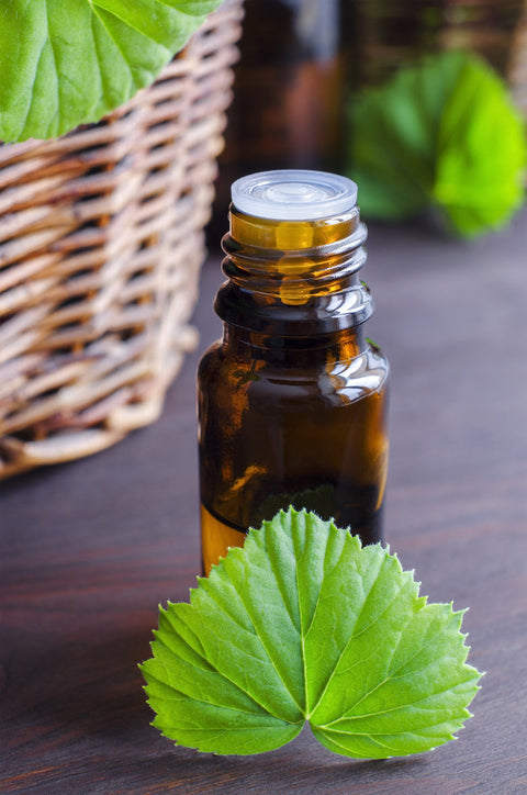 Top 5 perks of geranium essential oil at home – PureCult®