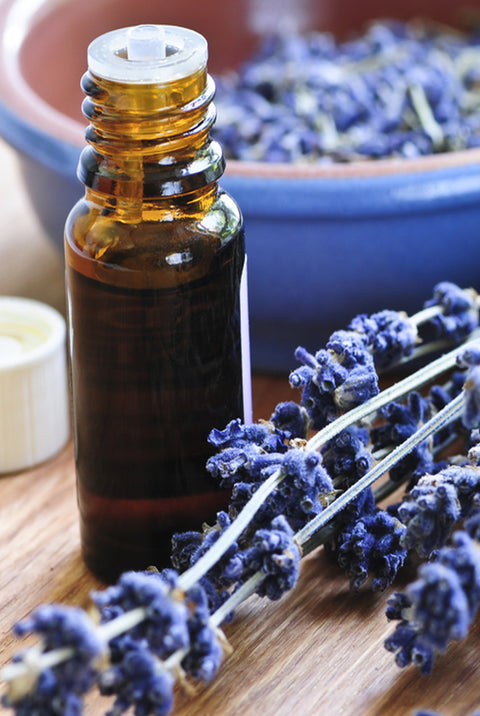 Lavender Official Essential Oil from Source Vital