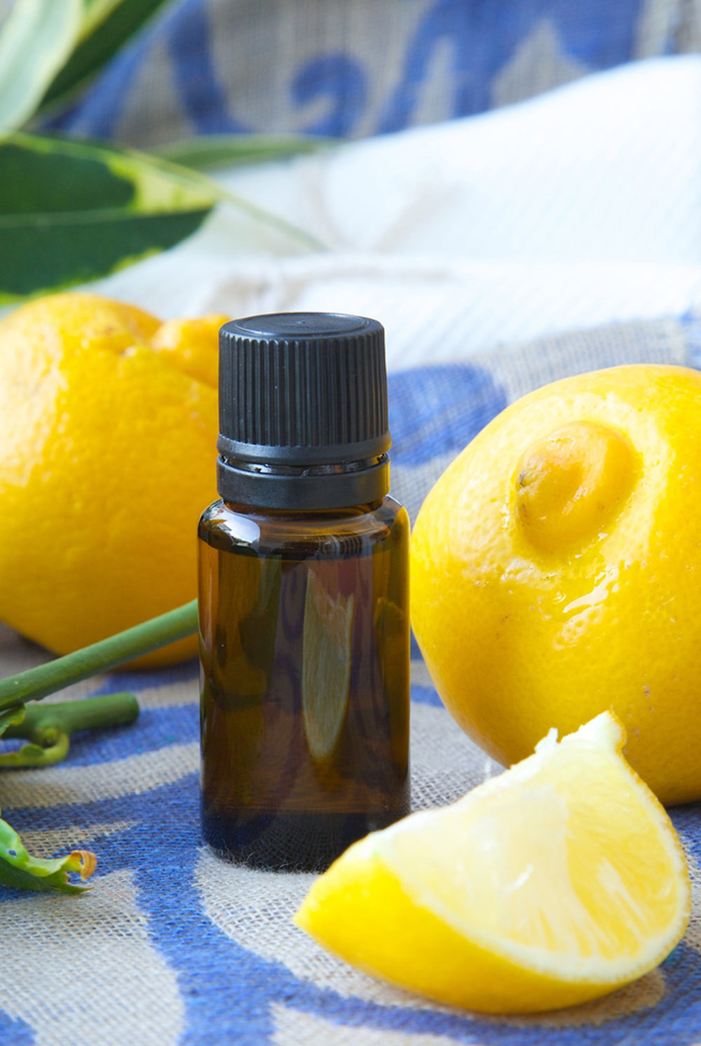 Lemon Essential Oil