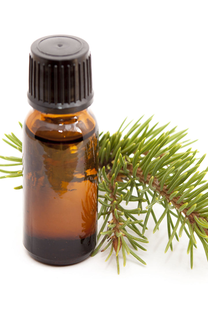 Fir Needle Essential Oil