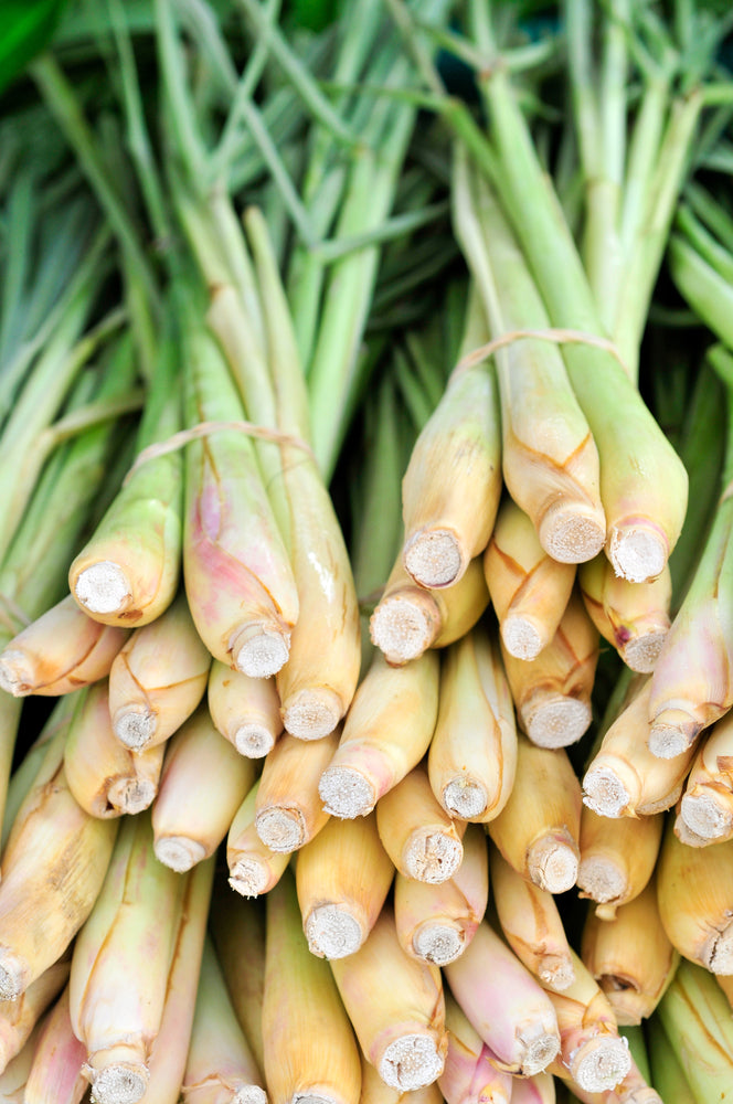 Lemongrass Essential Oil
