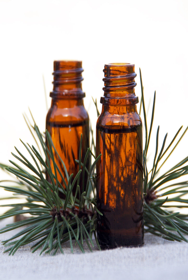 Pine Scotch Essential Oil (Wild Crafted)