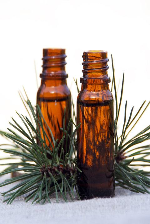 Pine Scotch Essential Oil (Wild Crafted)